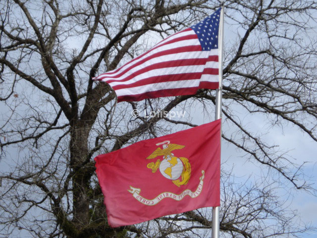 US flag/marine flag