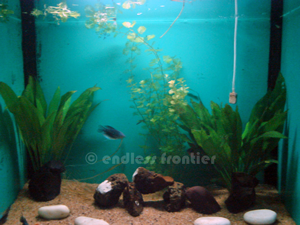 aquarium