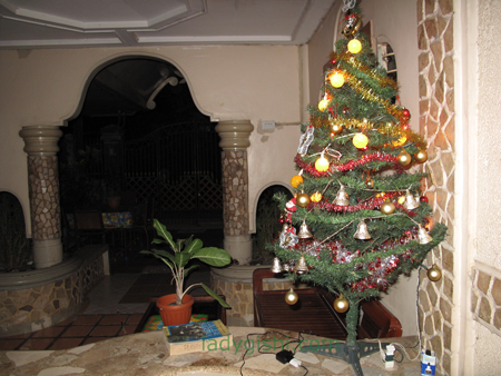 Merry Christmas, 2008