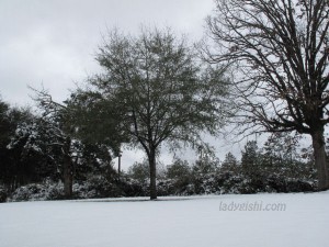 snow in Louisiana