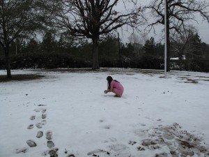 IMG_5399