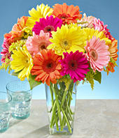 gerbera daisies bouquet